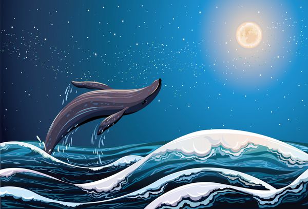 نهنگ در حال پریدن از امواج