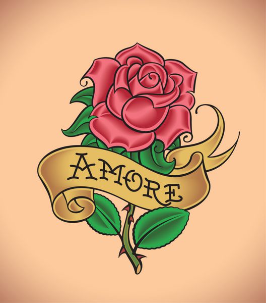 گل رز قدیمی - amore