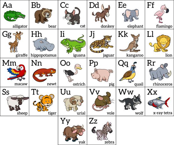 نمودار الفبای حیوانات کارتونی