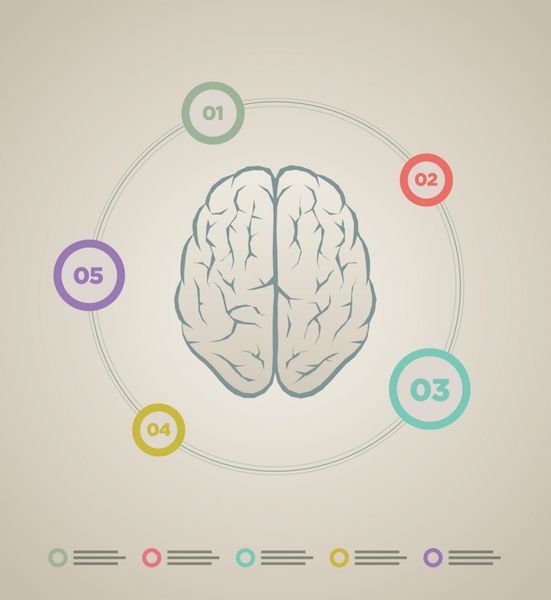 قالب اینفوگرافیک مغز