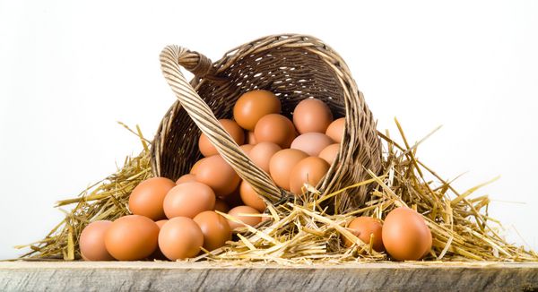 تخم مرغ در سبد جدا شده غذای ارگانیک