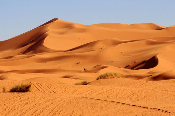 کویر صحرا