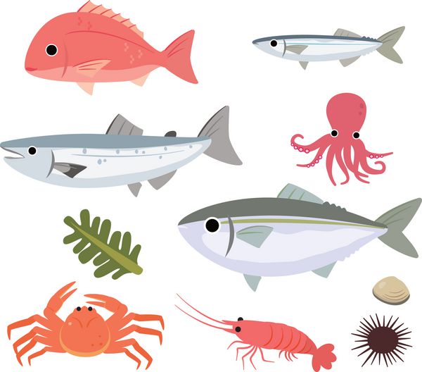 وکتور بنر غذاهای دریایی و ماهی