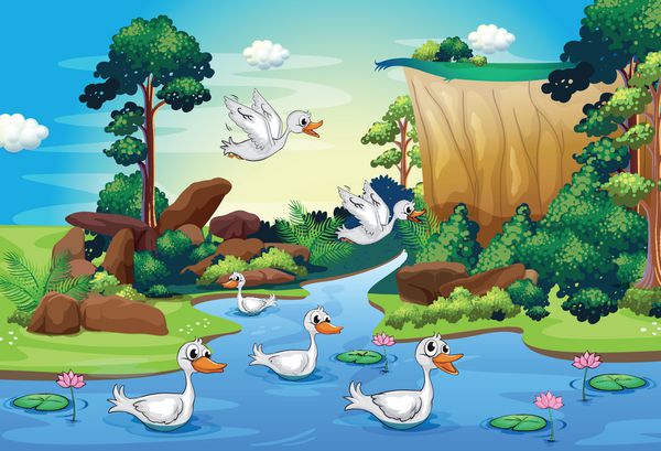 گروهی از اردک ها در کنار رودخانه در جنگل