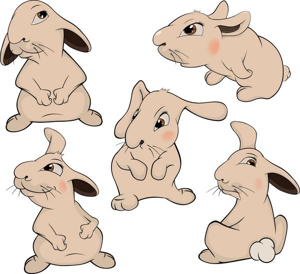 مجموعه ای از کارتون خرگوش