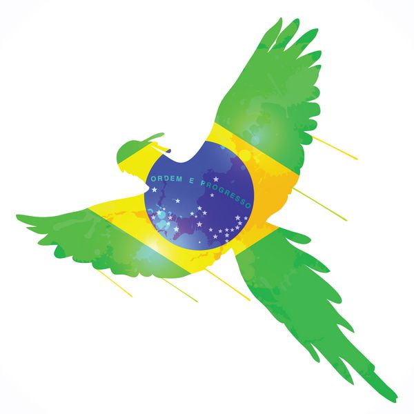 پرچم ماکائو برزیل