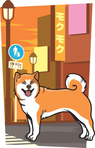 سگ ژاپنی در خیابان شهر