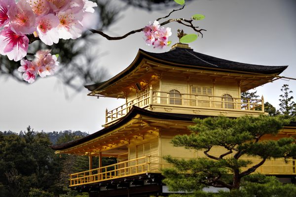 معبد غرفه طلایی در کیوتو ژاپن