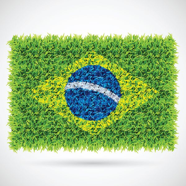 چمن پرچم برزیل