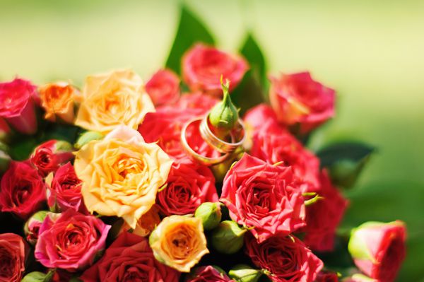 حلقه ازدواج و گل رز