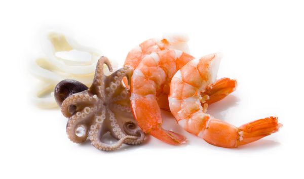غذاهای دریایی جدا شده میگو اختاپوس و ماهی مرکب