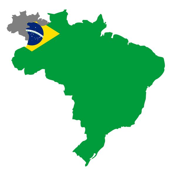 mappa brasile con bandiera brasiliana