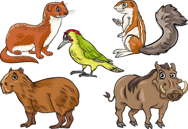 مجموعه حیوانات وحشی تصویر کارتونی