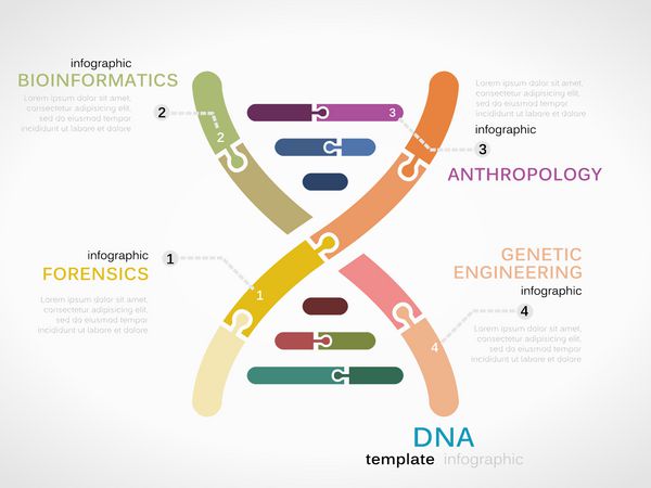 الگوی اینفوگرافیک مفهومی dna با زنجیره ژنتیکی