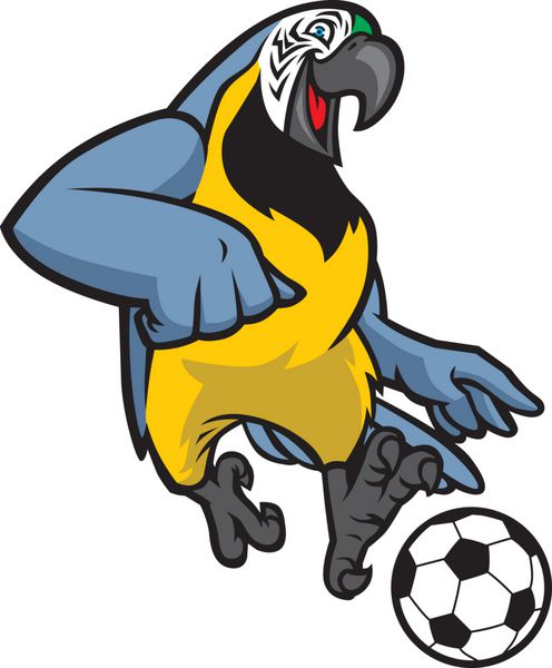 فوتبال پرنده ماکائو