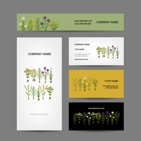 طراحی مجموعه کارت ویزیت گیاهان هریوم