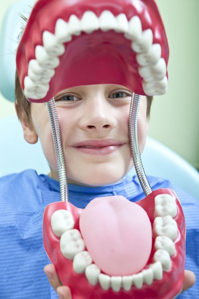 پسر جوان با فک نمونه دندان های دندانپزشکی