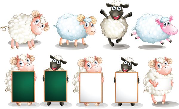 مجموعه گوسفند