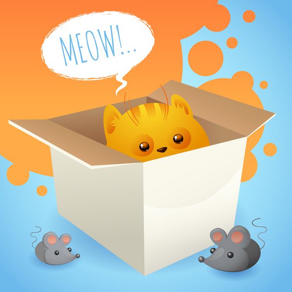 بچه گربه در جعبه