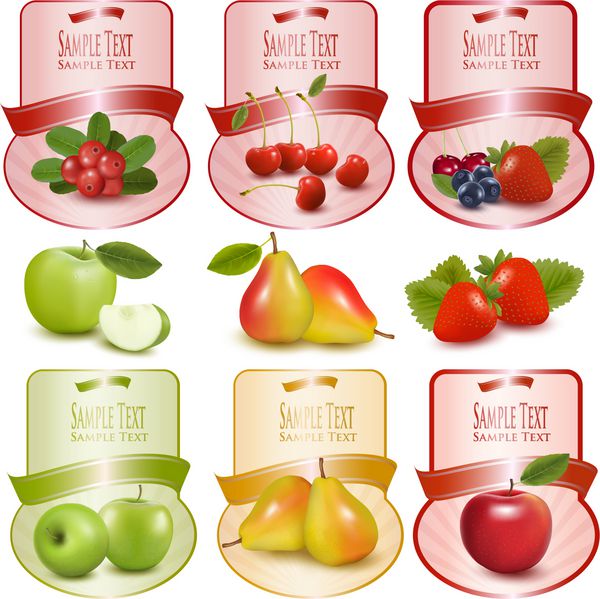 مجموعه ای از برچسب ها با انواع توت ها و میوه ها وکتور