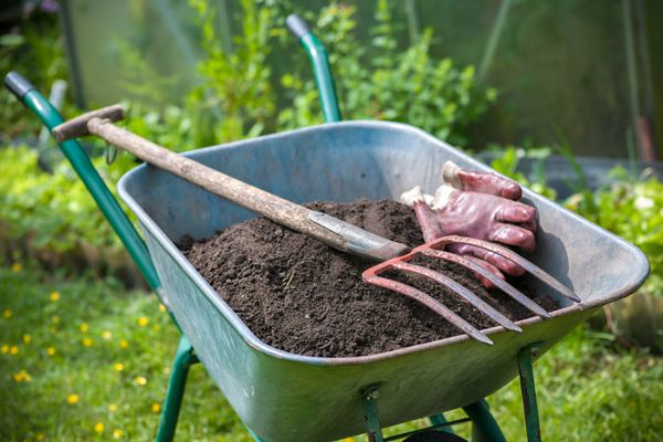 چنگال زمین و دستکش باغبانی در چرخ پر از خاک هوموس