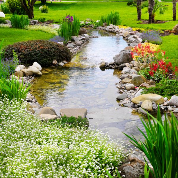 گل های بهاری در باغ آسیایی با حوضچه