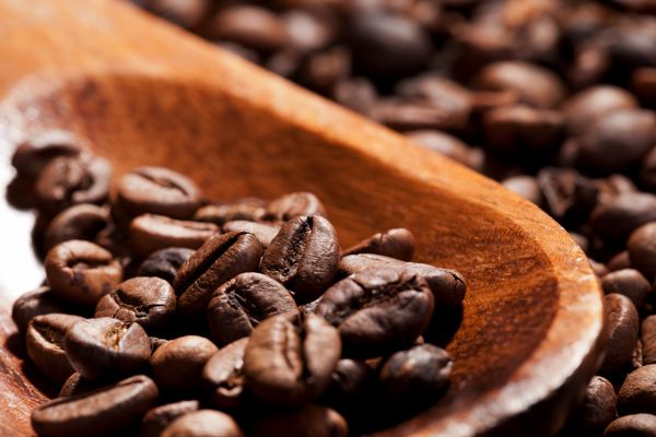 دانه های قهوه پس زمینه قهوه قهوه ای تیره