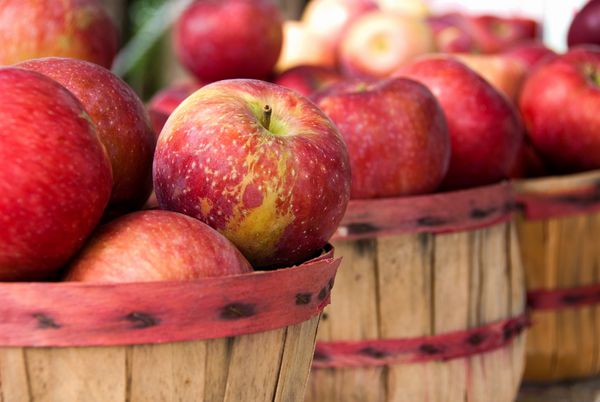 سیب های رسیده قرمز در سبدهای بوشل در بازار کشاورز