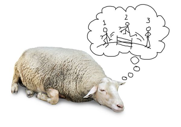 مفهوم خنده‌دار گوسفند بامزه با مقدار زیادی پشم جدا شده روی مجسمه‌های انسان با دست شمارش شده که از روی حصار می‌پرند تا بخوابند