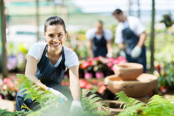 کارگر زن خوشحال در حال پیرایش گیاهان در گلخانه