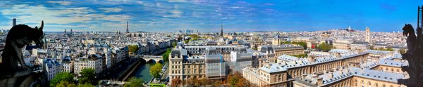 پانورامای پاریس فرانسه نمای برج ایفل و رودخانه سن از کلیسای نوتردام