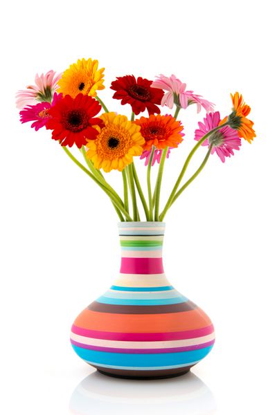 دسته گل های رنگارنگ گل های ژربری در گلدان راه راه مدرن
