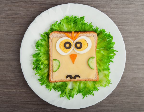 طراحی غذا ساندویچ خلاقانه برای کودک با یک جغد کوچک