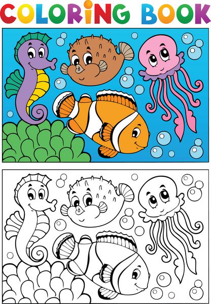 کتاب رنگ آمیزی با حیوانات دریایی 4 - وکتور