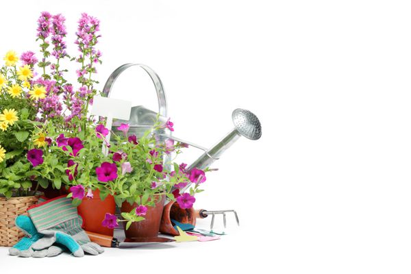 ابزار باغبانی و گلهای جدا شده روی سفید با کپی sp