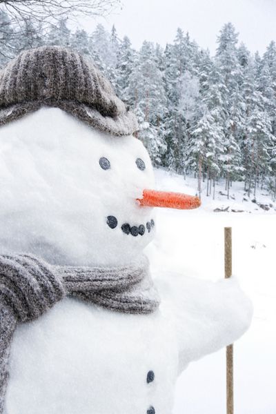 نمای نزدیک از آدم برفی خندان با کلاه پشمی روسری و بینی هویجی در فضای باز در هنگام بارش برف