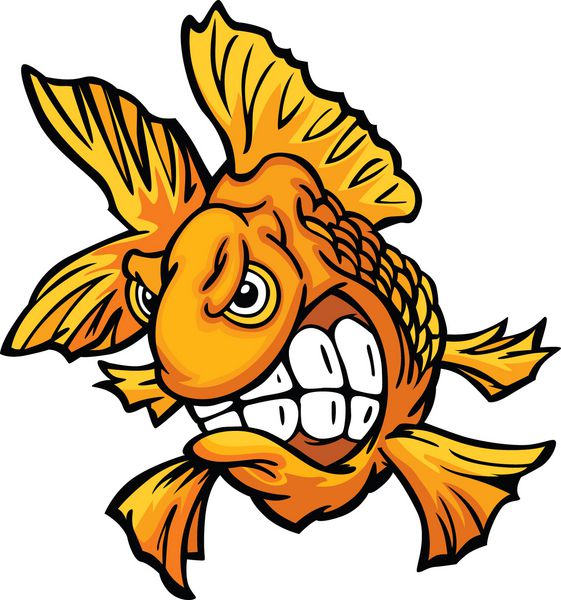 تصویر وکتور کارتونی ماهی قرمز عصبانی