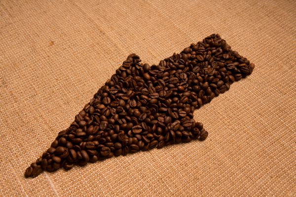 فلش از دانه های قهوه جدا شده روی کرفس