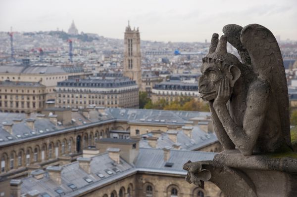 گارگویل سنگی کیمرا مشرف به شهر پاریس از برج نوتردام با قداست در پس‌زمینه