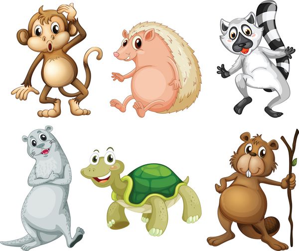 تصویری از شش نوع مختلف از حیوانات وحشی در زمینه سفید