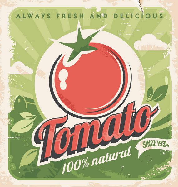 قالب پوستر قدیمی برای مزرعه گوجه فرنگی طراحی برچسب سبزیجات رترو وکتور بافت کاغذ قدیمی پس زمینه مواد غذایی