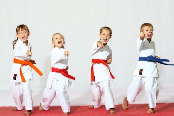 بچه های کاراته ورزش زیبا