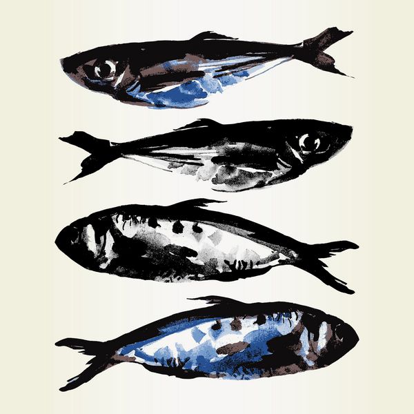 ماهی نقاشی شده وکتور