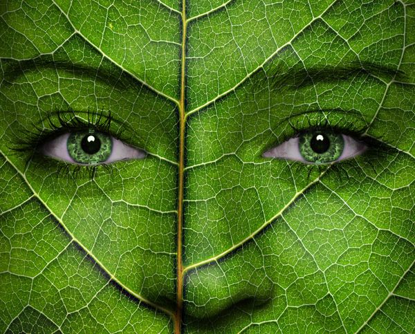 زن f با بافت برگ و چشمان سبز مفهوم اکولوژی