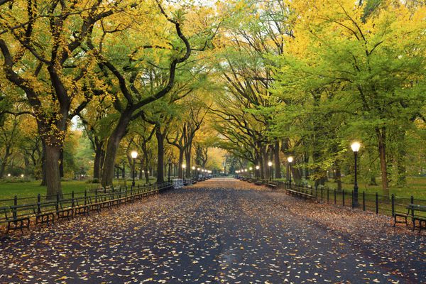 پارک مرکزی تصویری از منطقه مرکز خرید در پارک مرکزی شهر نیویورک ایالات متحده آمریکا در پاییز