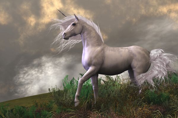 اسب نر اسب شاخدار سفید - ابرها و مه یک اسب نر اسب شاخدار زیبا با کت سفید را احاطه کرده است
