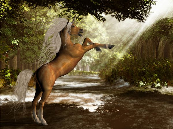 اسب شاخدار جنگلی - یک اسب شاخدار رنگی پالومینو با اعلام اینکه مالک این قلمرو است بلند می شود