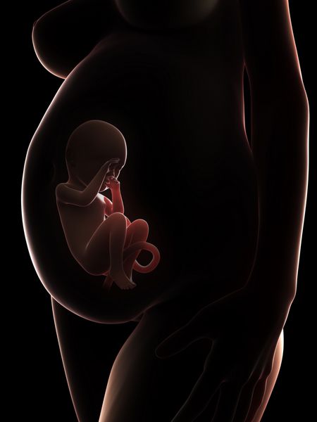 تصویر سه بعدی یک زن باردار