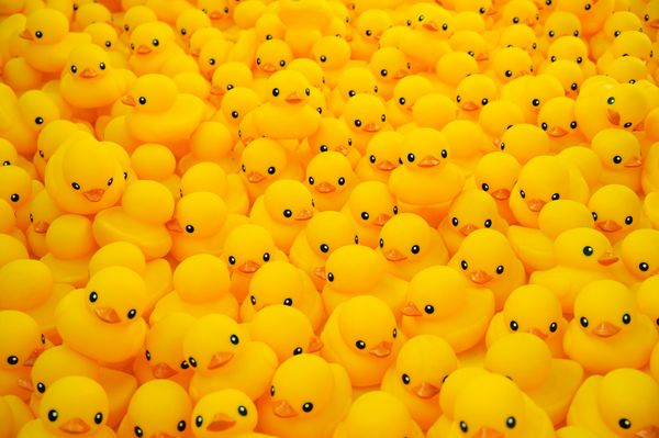 گروه اردک لاستیکی زرد