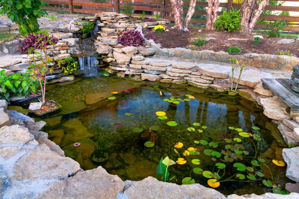 حوض کوی تزئینی در یک باغ